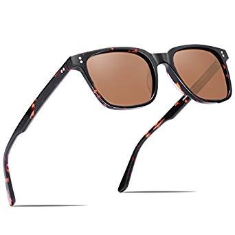 Chic Retro Polarized Sunglasses for Women Men?Designer Sunglasses with Case?  Protection