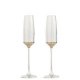 Silver-glass mix champagne flutes 170ML