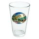 Jurassic Sunset Novelty 16 oz Pint Glass