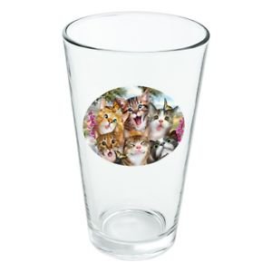 16 oz pint glasses, drinking cup