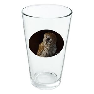 Owl pint glass 16 oz