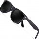 Polarized Wayfarer Sunglasses for Men -  HD Vision Polarized Sunglasses Mens FD2149